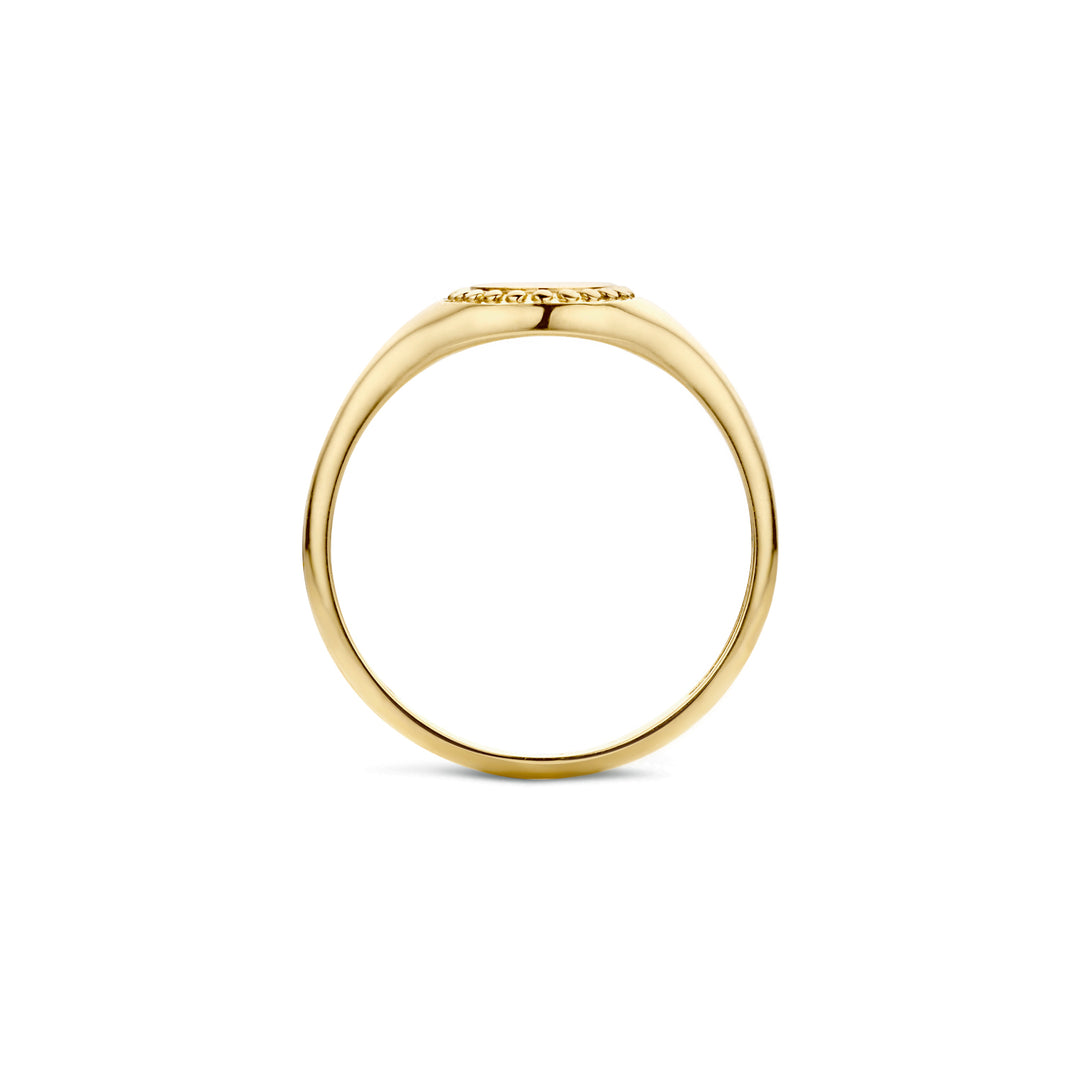 Blush 14ct Solid Gold Signet Ring