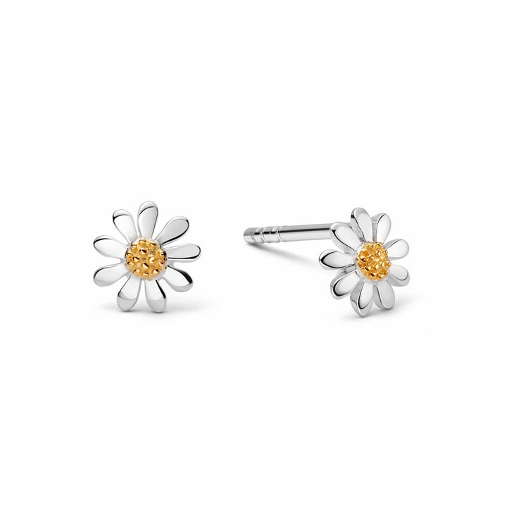 Daisy London Sterling Silver Marguerite 5mm Daisy Earrings