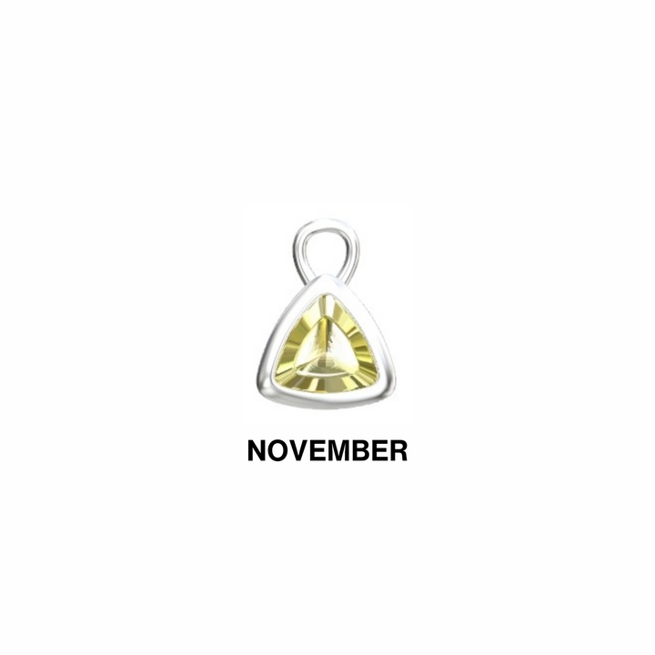 November Silver Charm