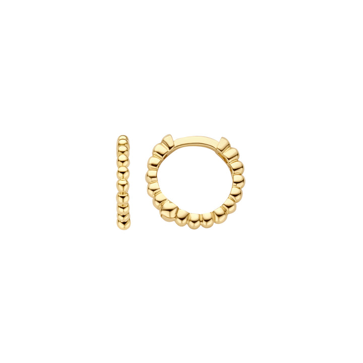 Blush 14ct Solid Gold Dotted Hoop Earrings