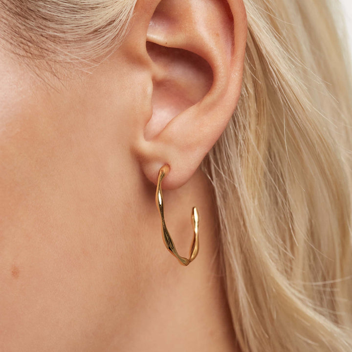 PDPAOLA Gold Vanilla Hoop Earrings