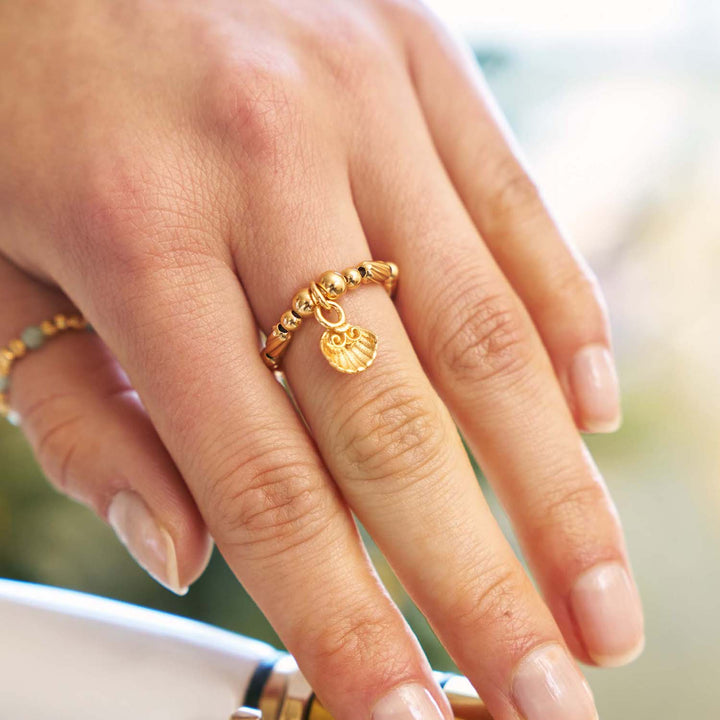 ChloBo Gold Travel Seeker Ring