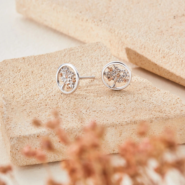 Clogau Tree of Life Silver Circle Stud Earrings