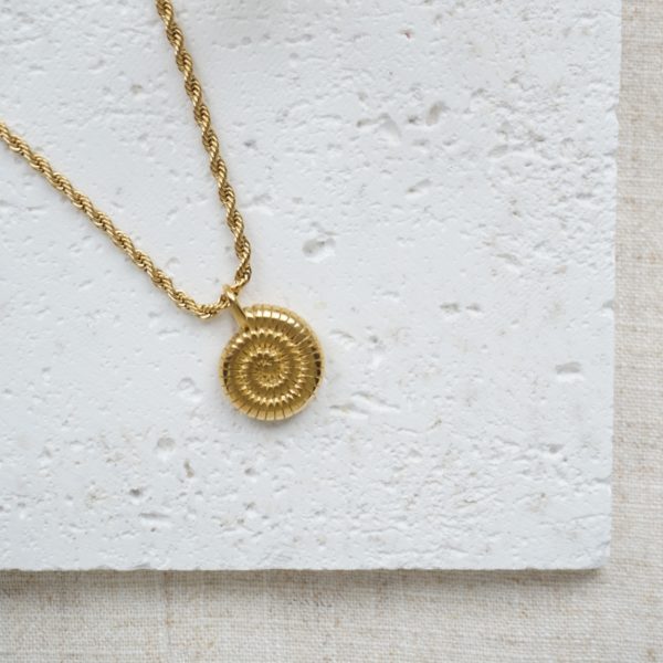 Little Grey Moon Gold Whorl Necklace