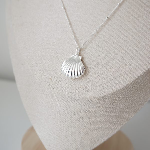 Little Grey Moon Silver Shell Locket Necklace