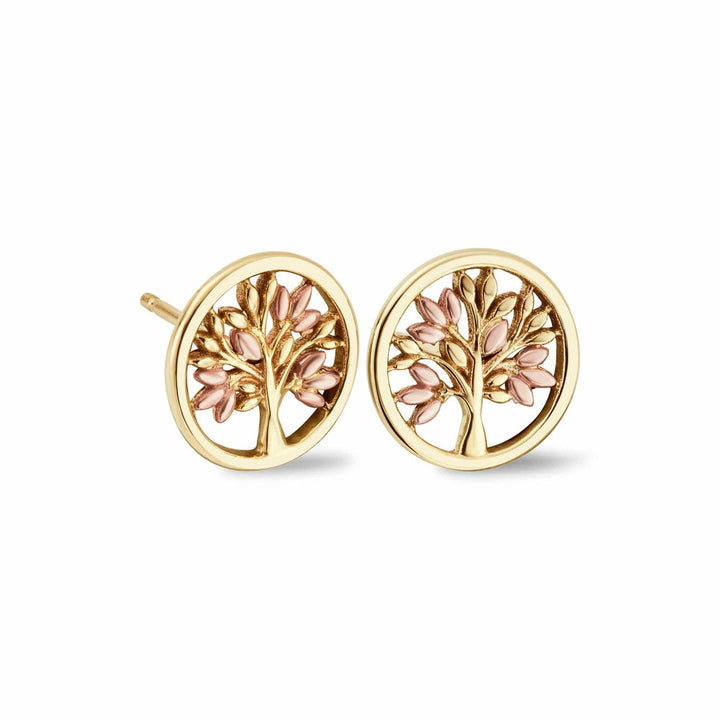 Clogau Tree of Life  Gold Circle Stud Earrings image