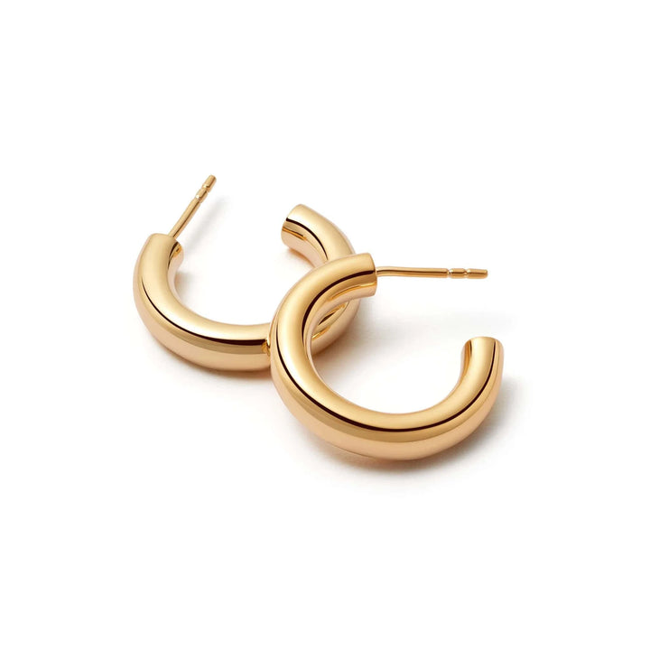 Daisy London Gold Mini Bold Hoop Earrings