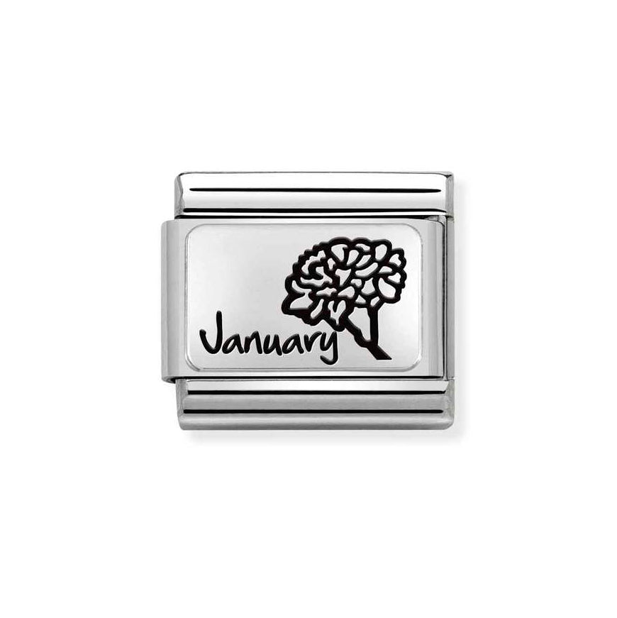 Nomination Silver Composable Classic January Flower Charm