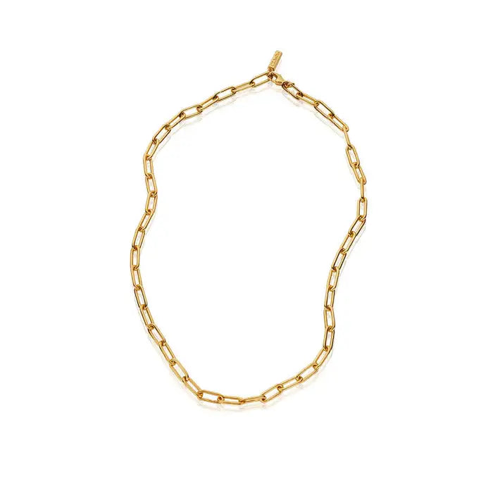 ChloBo Gold Medium Link Lariat Necklace