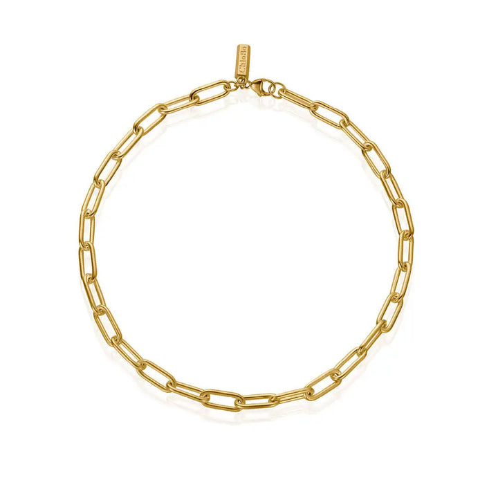 ChloBo Gold Medium Link Necklace