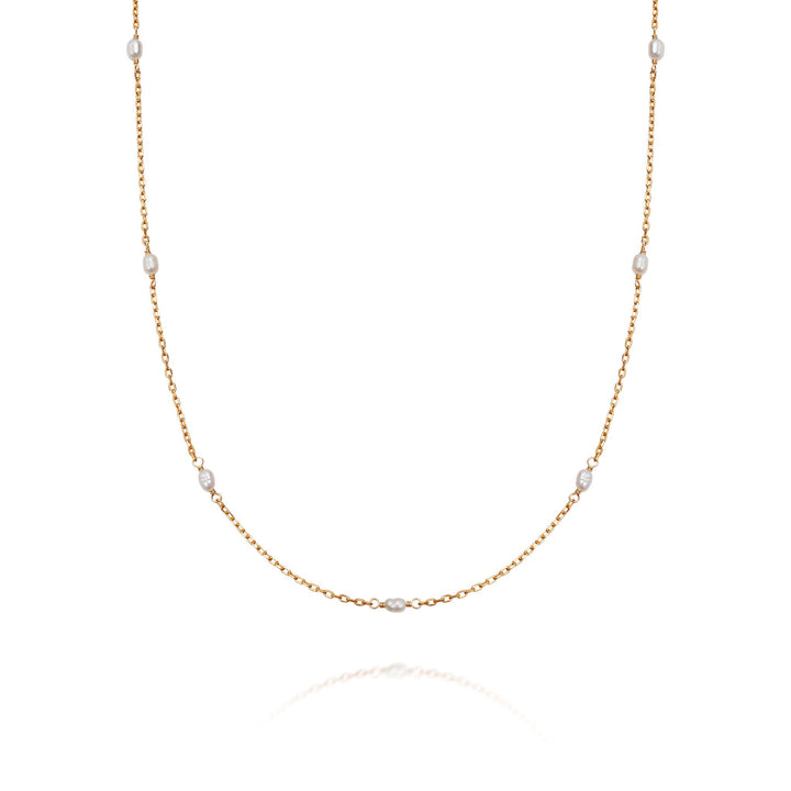 Daisy London 18ct Gold Plate Treasures Seed Pearl Chain Necklace